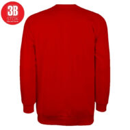 3B 3 İPLİK SIFIR YAKA PREMIUM ŞARDONSUZ SWEAT KIRMIZI - Görsel 3
