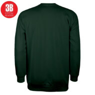 3B 3 İPLİK SIFIR YAKA PREMIUM ŞARDONSUZ SWEAT YEŞİL - Görsel 3